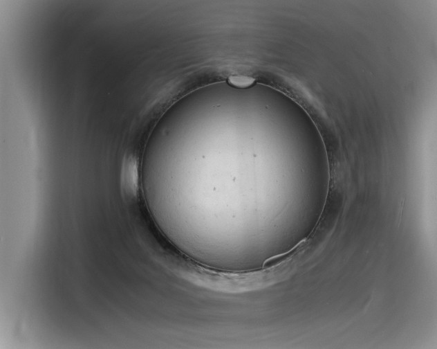 X0000116140027200911301529