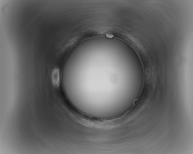 X0000116140028200911301529