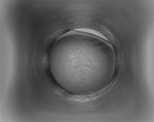 X0000116140029200911301529