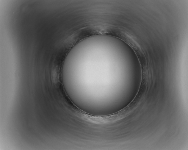 X0000116140030200911301529