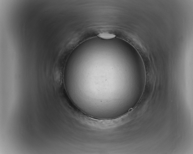 X0000116140031200911301529