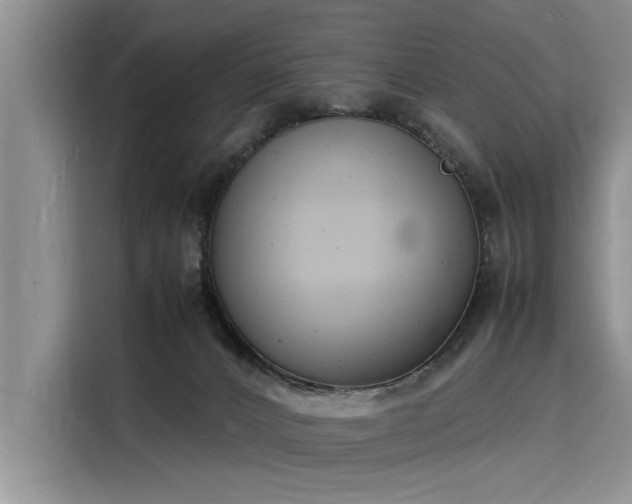 X0000116140032200911301529