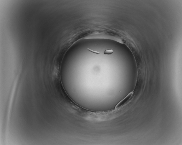 X0000116140033200911301529