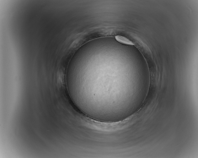 X0000116140035200911301529