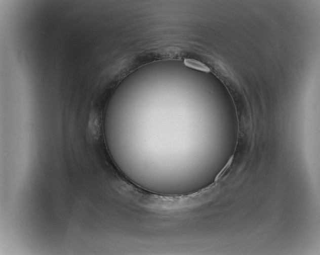 X0000116140037200911301529