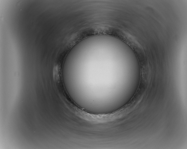 X0000116140038200911301529