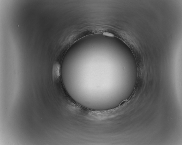 X0000116140041200911301529