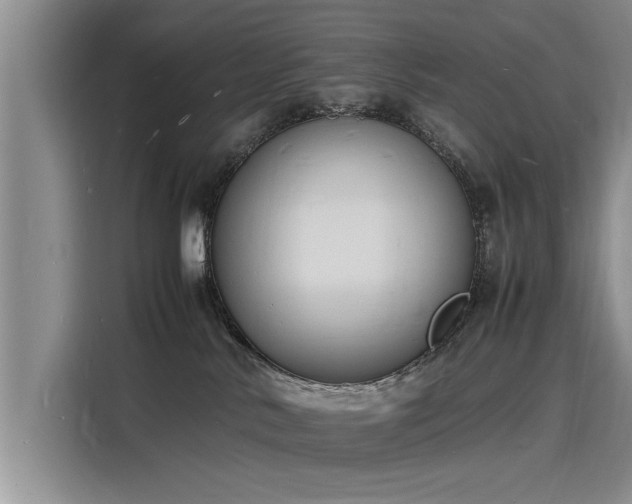 X0000116140042200911301529