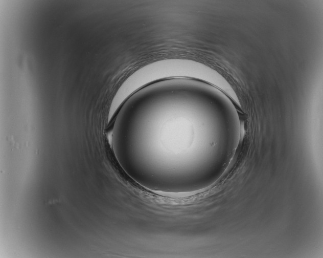 X0000116140043200911301529