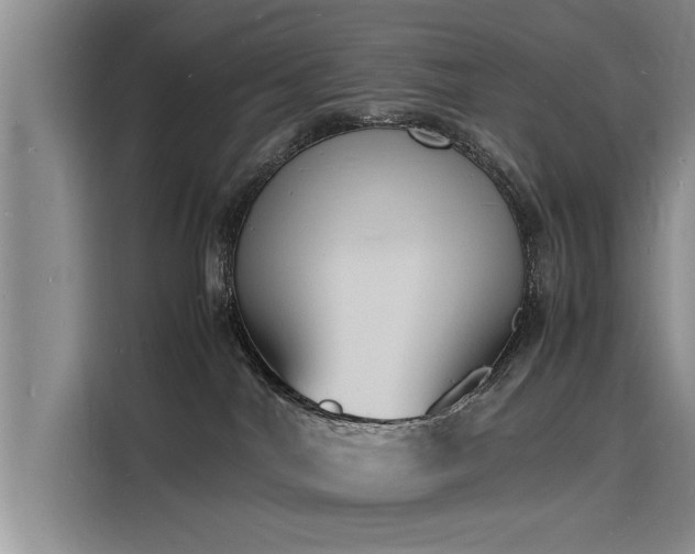 X0000116140044200911301529