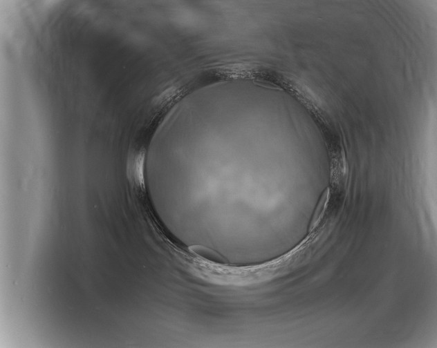 X0000116140047200911301529