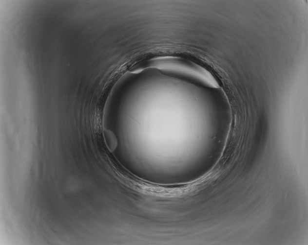 X0000116140048200911301529