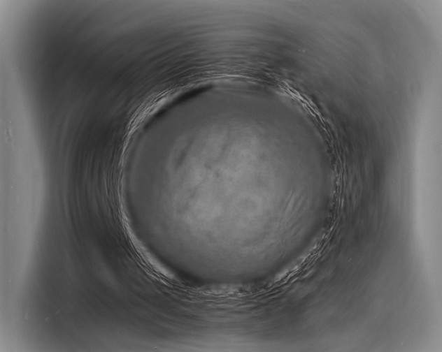 X0000116140049200911301529