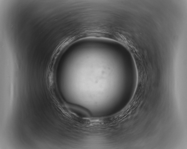 X0000116140050200911301529