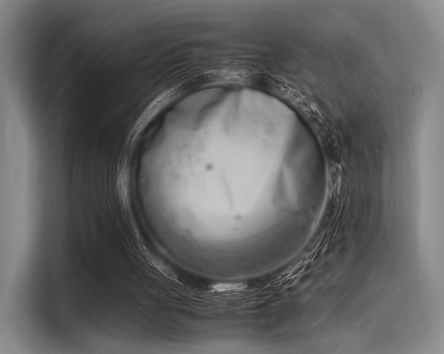 X0000116140051200911301529