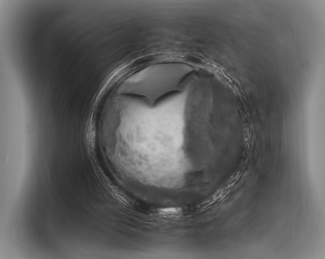 X0000116140053200911301529