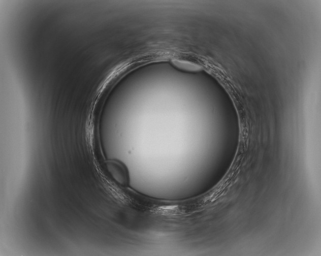 X0000116140054200911301529