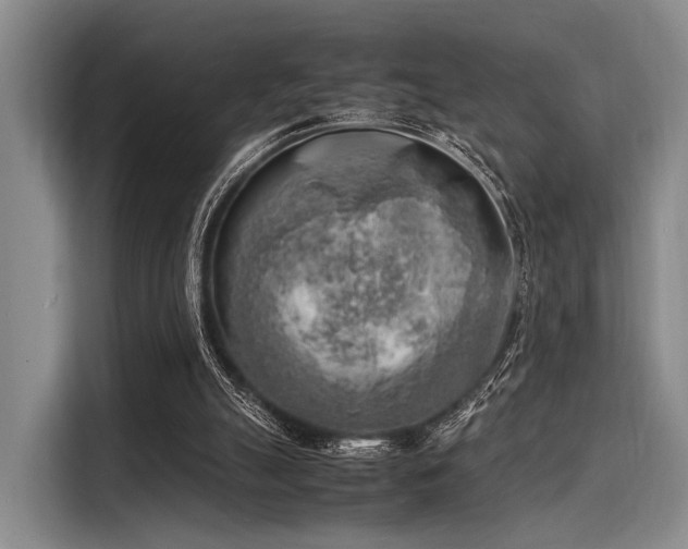 X0000116140055200911301529