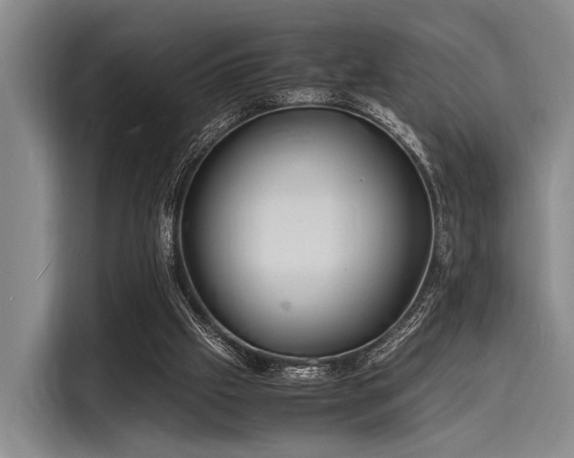 X0000116140057200911301529