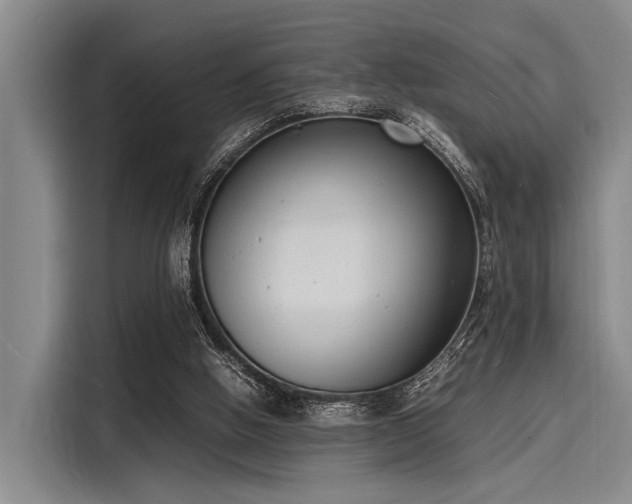 X0000116140058200911301529