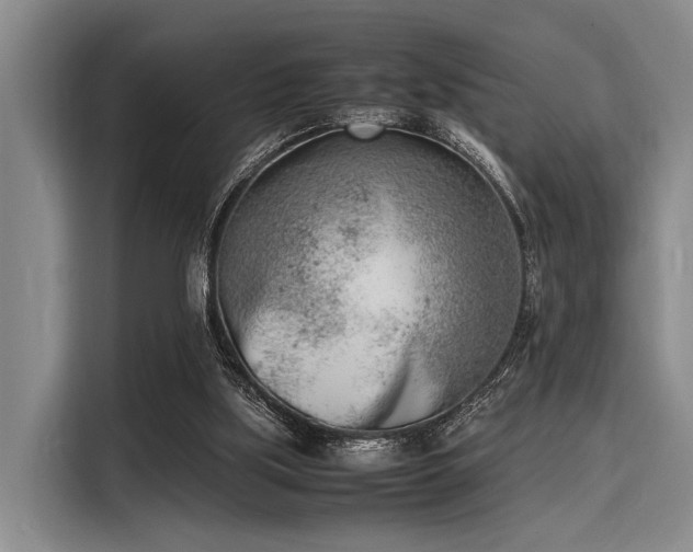 X0000116140059200911301529