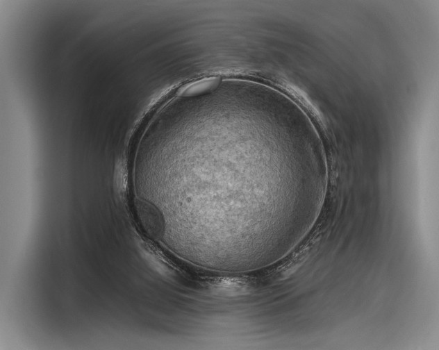 X0000116140060200911301529