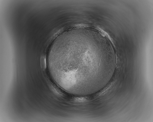 X0000116140061200911301529