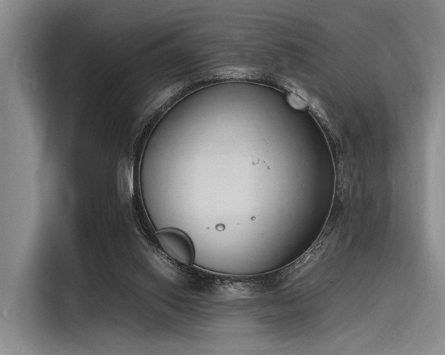 X0000116140062200911301529