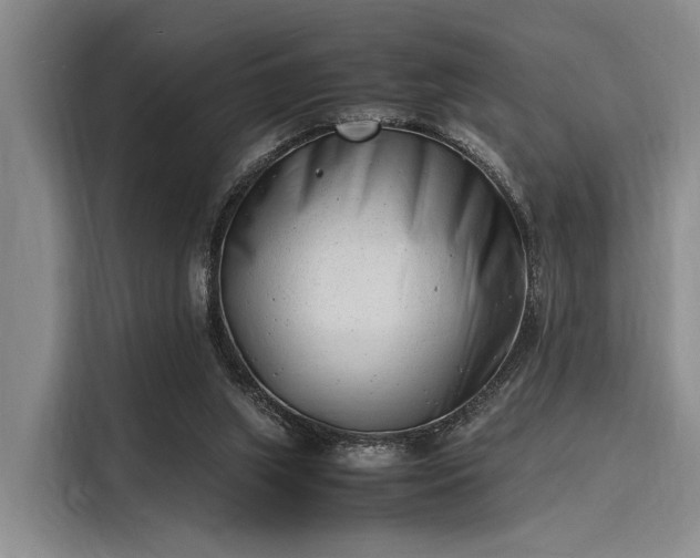 X0000116140063200911301529