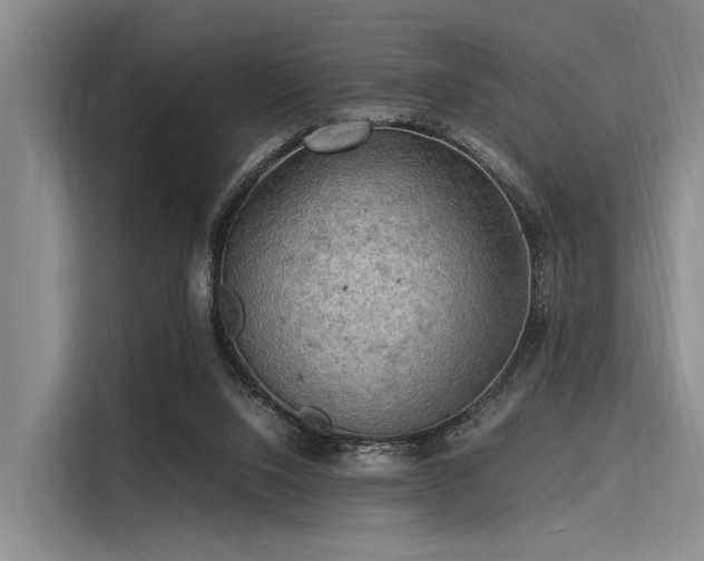 X0000116140064200911301529