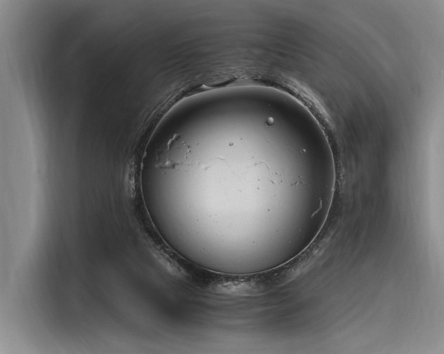 X0000116140065200911301529