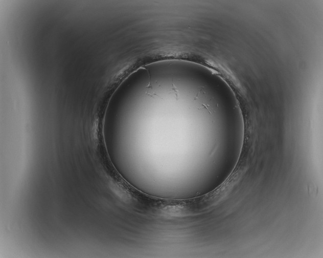 X0000116140066200911301529