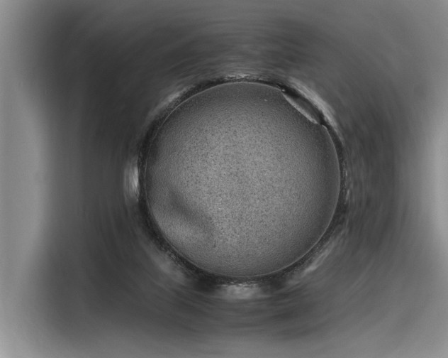 X0000116140067200911301529