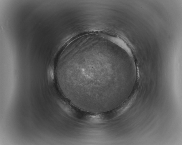 X0000116140068200911301529