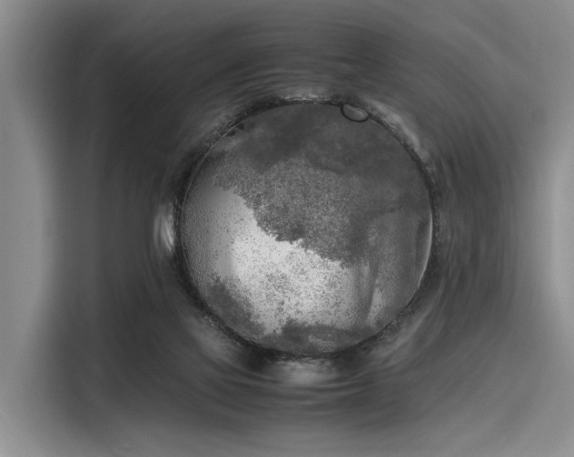 X0000116140069200911301529