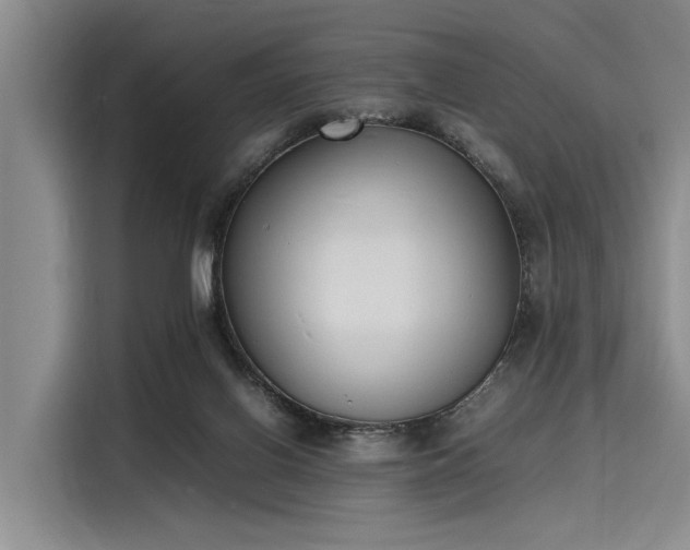 X0000116140070200911301529