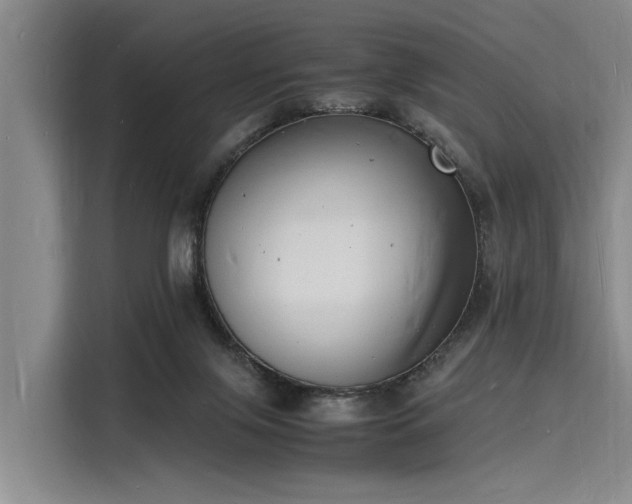 X0000116140071200911301529