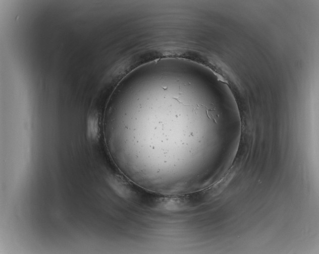 X0000116140074200911301529