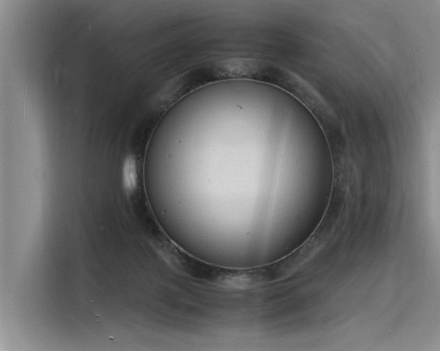 X0000116140075200911301529