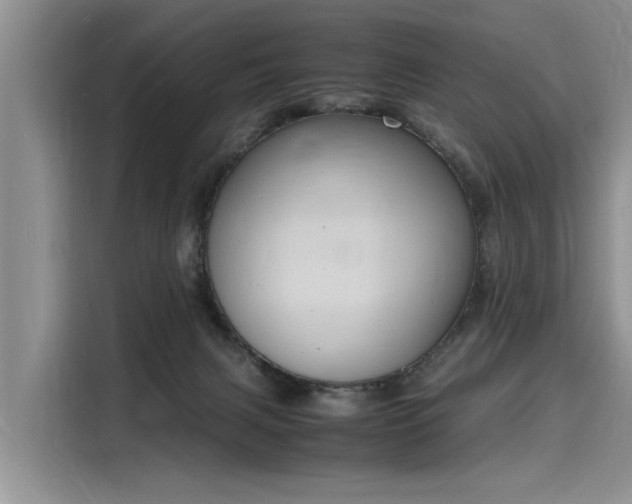 X0000116140079200911301529