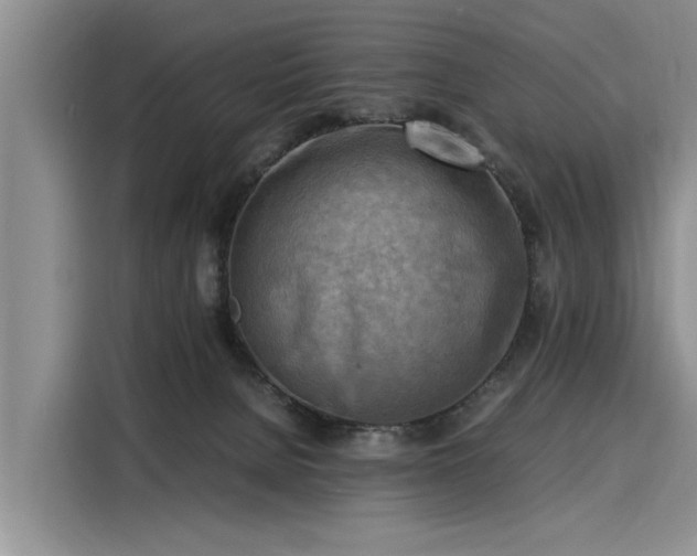 X0000116140080200911301529