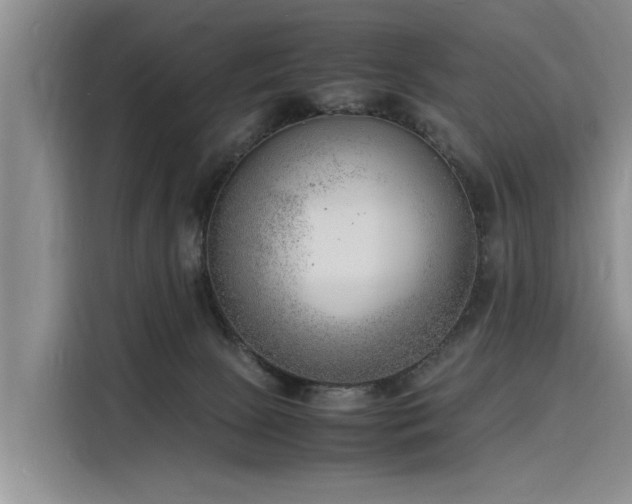 X0000116140081200911301529