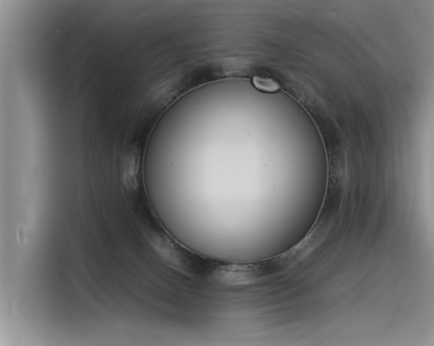 X0000116140082200911301529