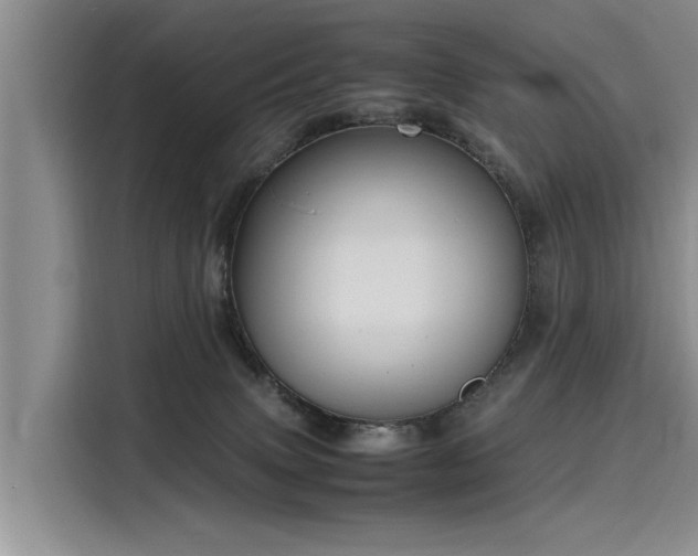 X0000116140083200911301529