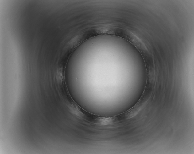 X0000116140085200911301529