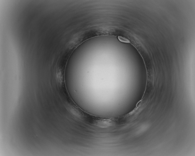 X0000116140086200911301529