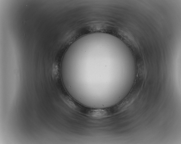 X0000116140087200911301529