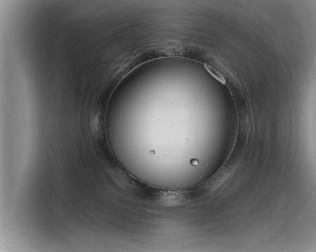 X0000116140088200911301529