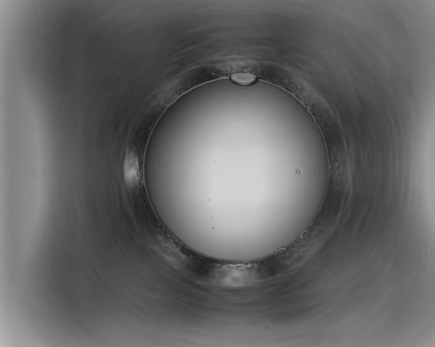 X0000116140089200911301529