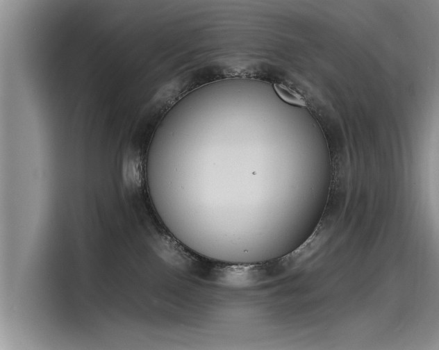 X0000116140090200911301529